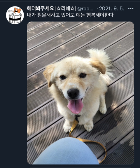 내가-침울해-하고-있으면--가--해준다-.twt-29-이미지