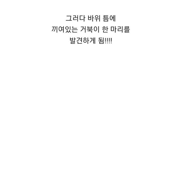 바위-틈에-빠진-바다-거북이를-구하는-커플-4-이미지