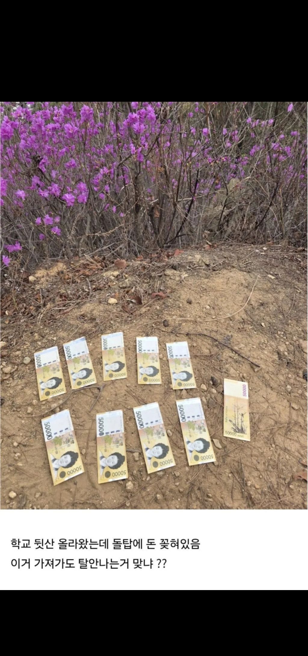 뒷산-산책하다-돈줍한-사람-3-이미지