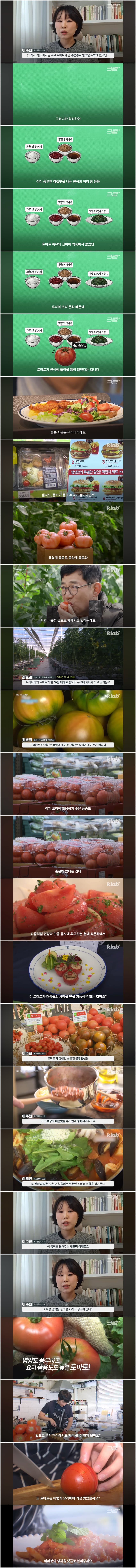 토마토가-유독-한식에-안-쓰이는-이유.jpg-3-이미지