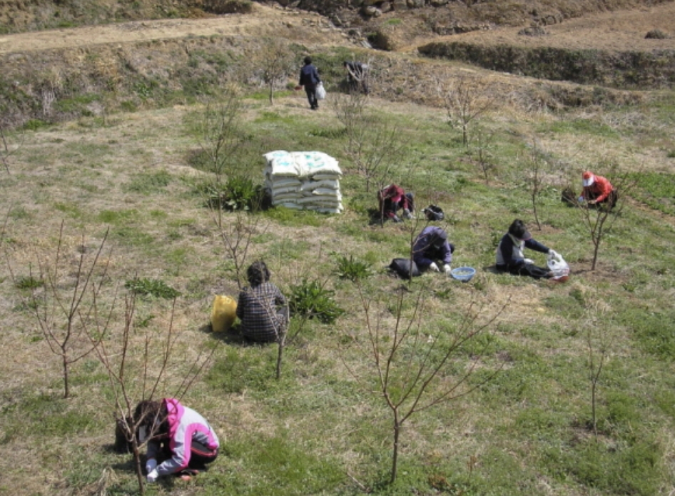 성당-지을-돈-없어서-주말마다-칡-캐서-총-35t을-캤대ㅜㅜㅜㅋㅋㅋ-1-이미지