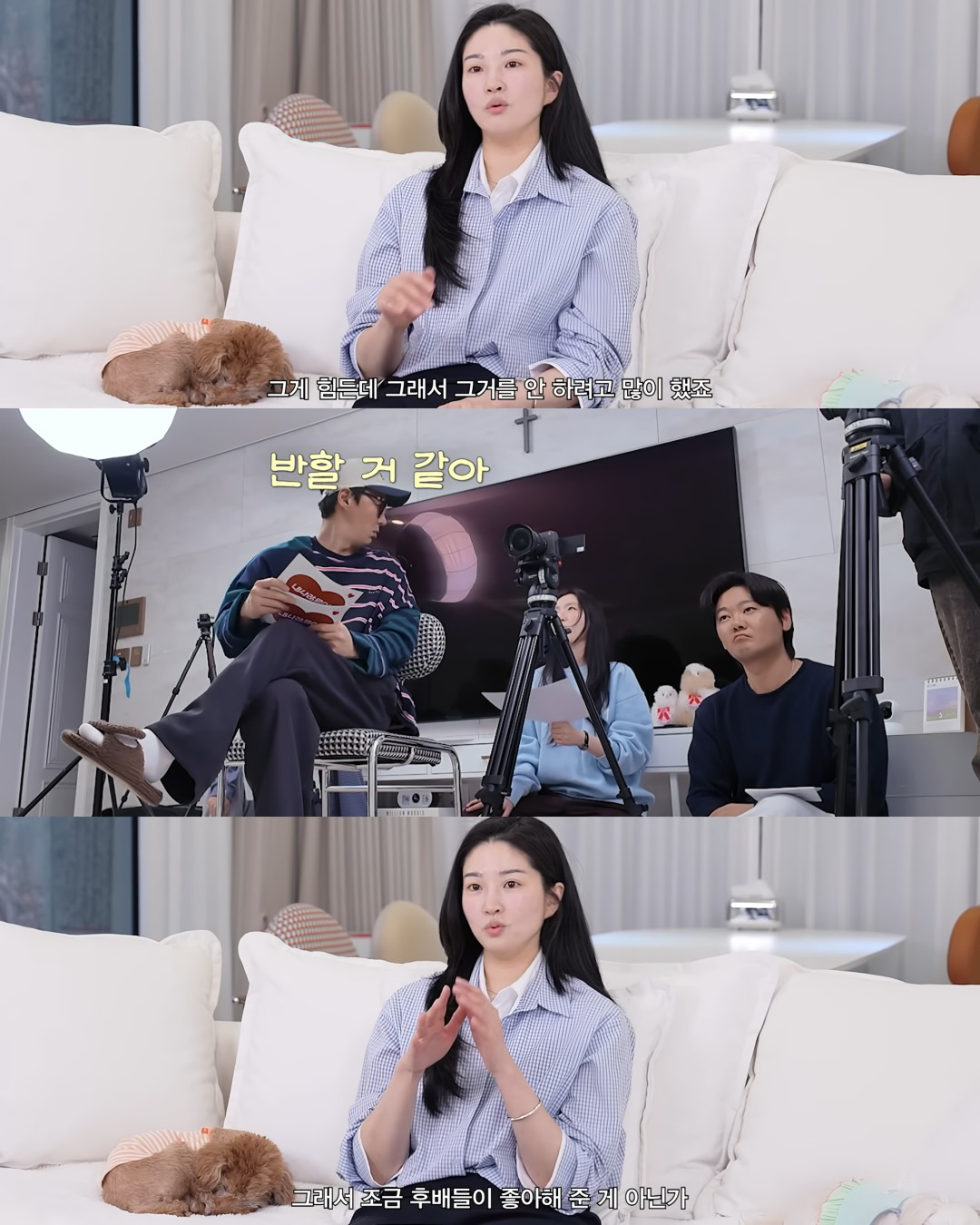 전생에-나라-구한듯한-전진-5-이미지