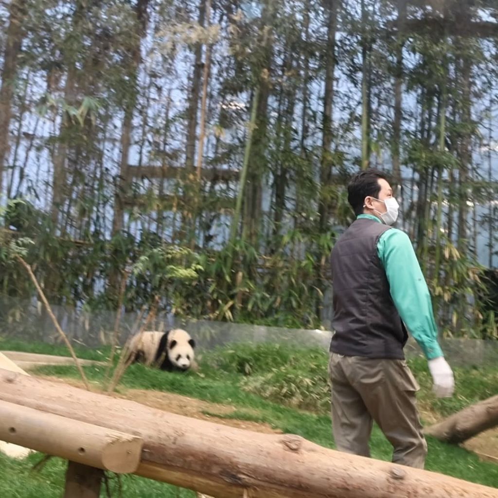 푸웅니-떠나던-날-할부지에게-위로가-된-루이바오🐼💜-2-이미지