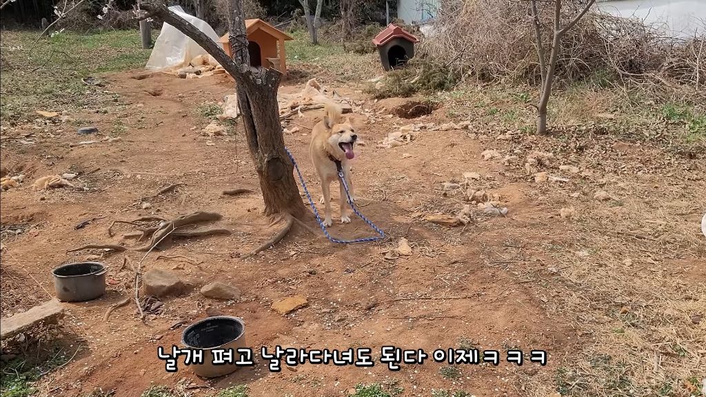 이제-개집도-만드는-매탈남-23-이미지