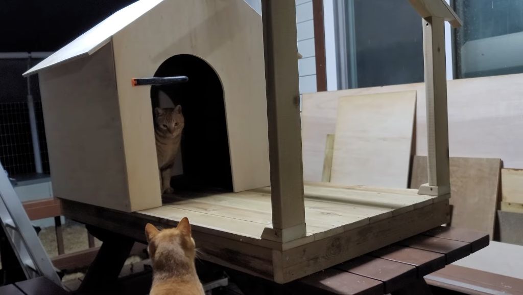 이제-개집도-만드는-매탈남-9-이미지