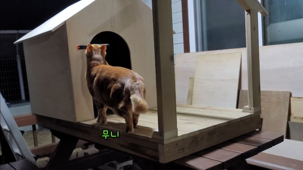 이제-개집도-만드는-매탈남-8-이미지