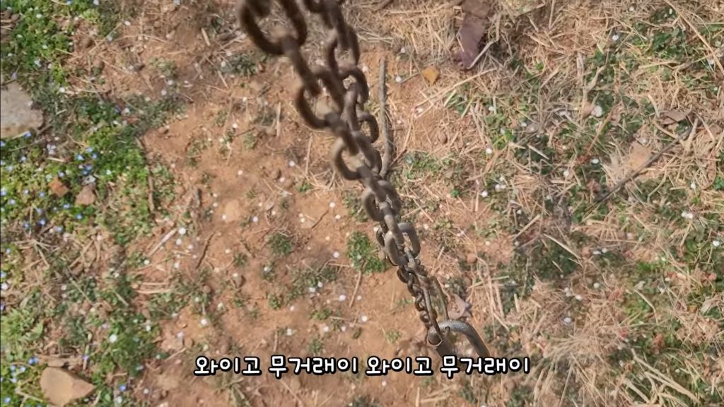 이제-개집도-만드는-매탈남-21-이미지