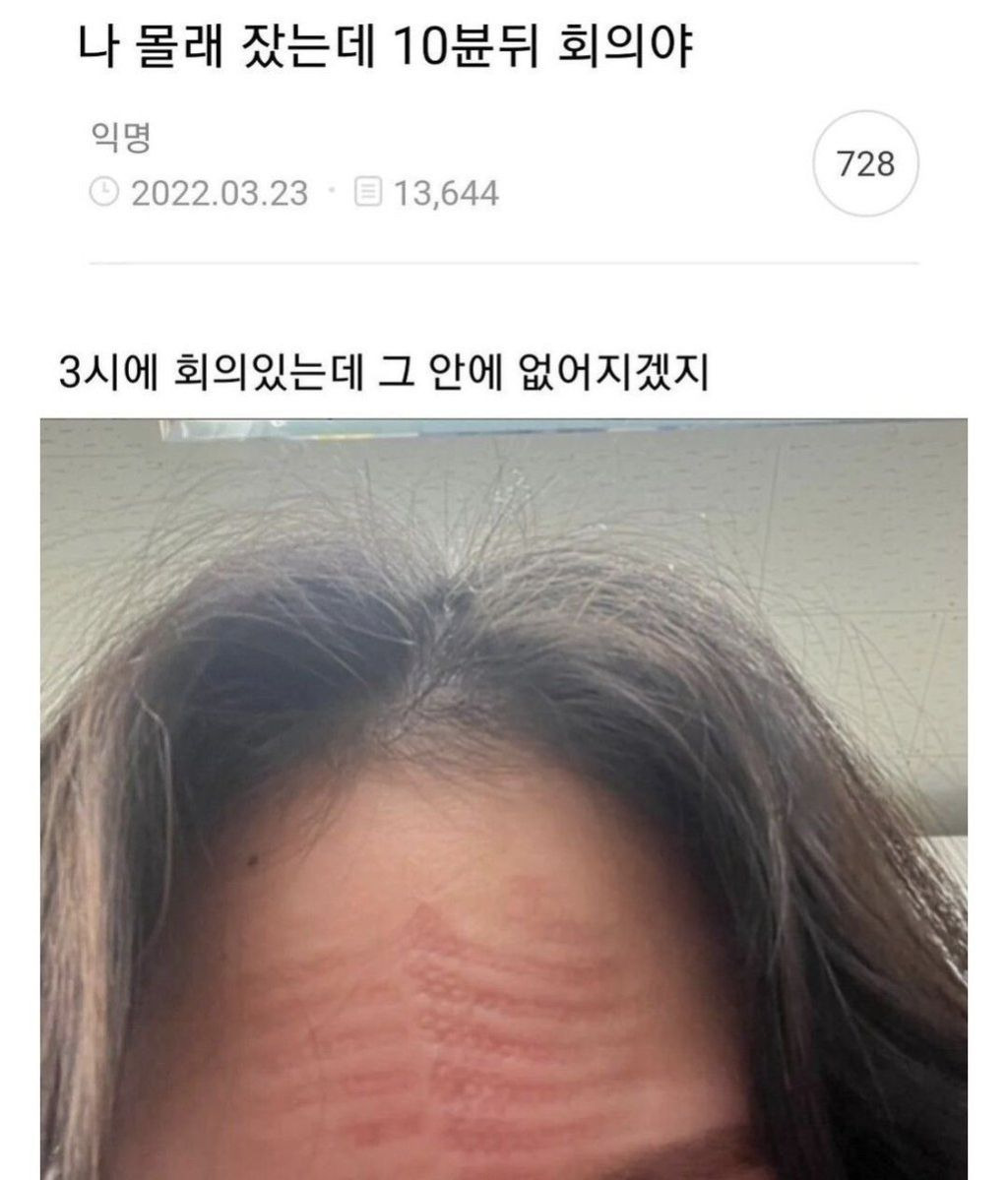 나-몰래-잤는데-10분-뒤-회의야-0-이미지