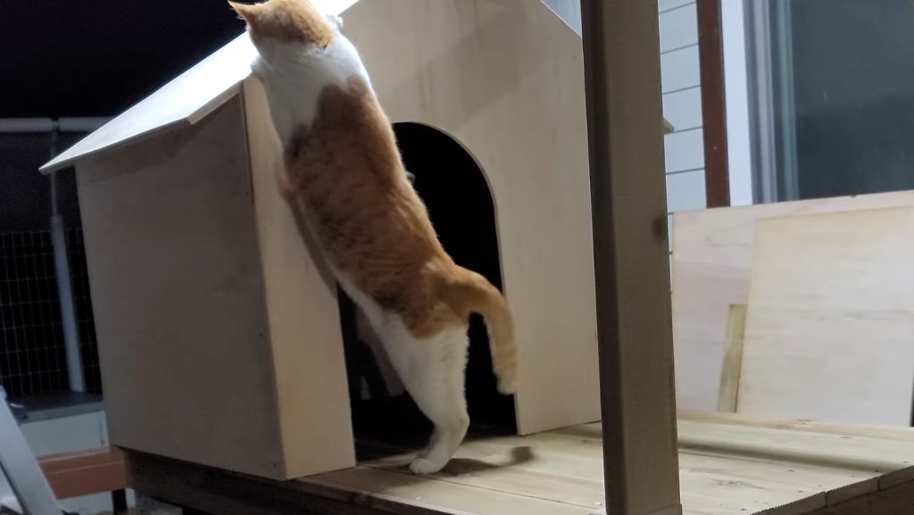 이제-개집도-만드는-매탈남-7-이미지