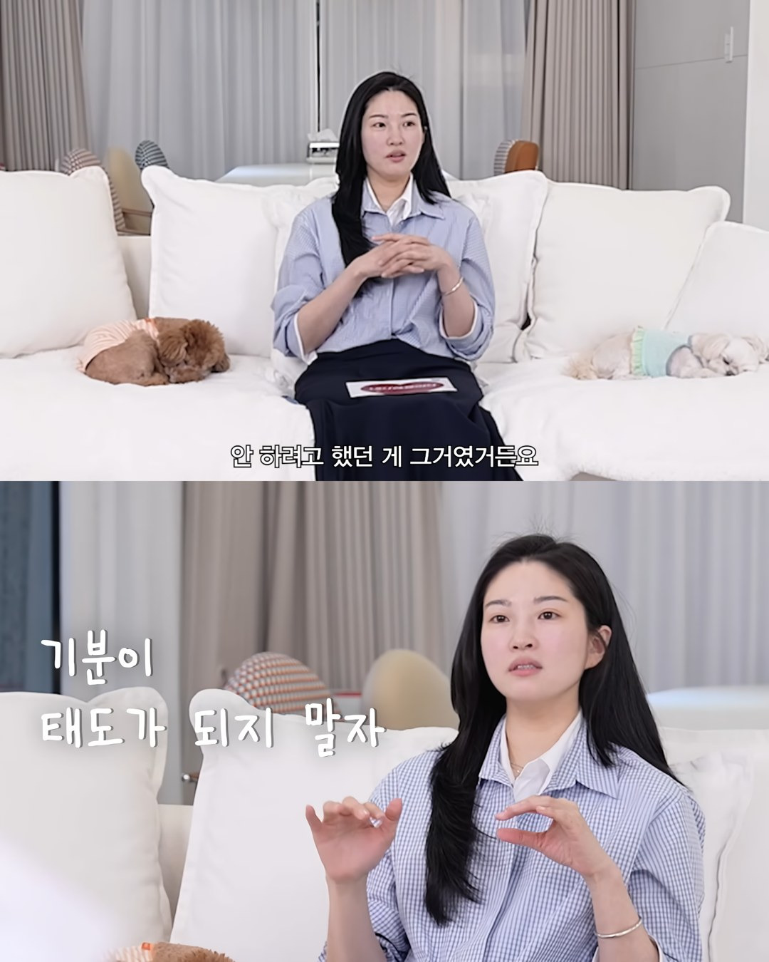 전생에-나라-구한듯한-전진-3-이미지