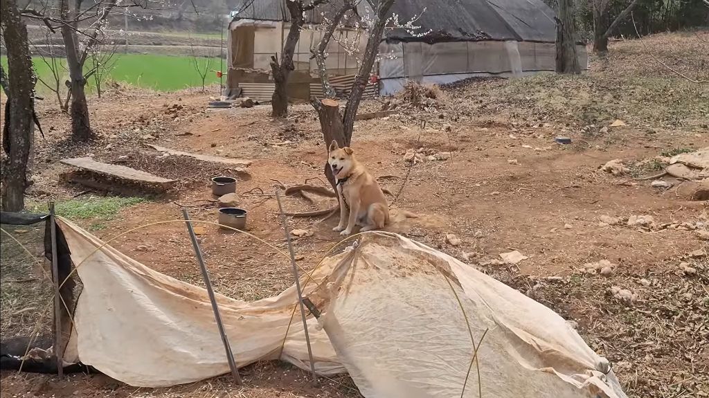 이제-개집도-만드는-매탈남-18-이미지