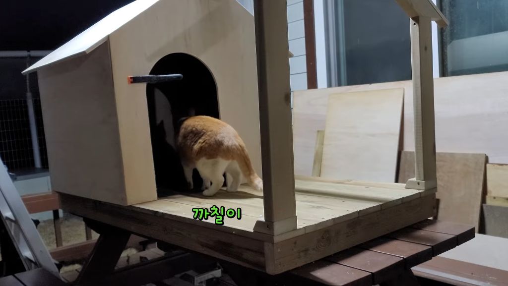 이제-개집도-만드는-매탈남-6-이미지