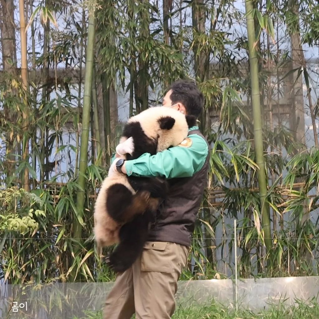 푸웅니-떠나던-날-할부지에게-위로가-된-루이바오🐼💜-6-이미지