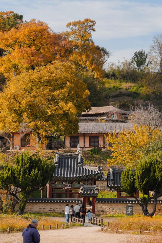 외국인들이-찍은-경주-여행-사진-10-이미지