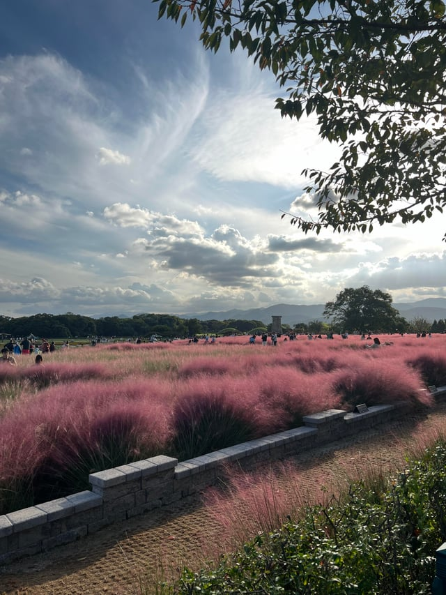 외국인들이-찍은-경주-여행-사진-16-이미지