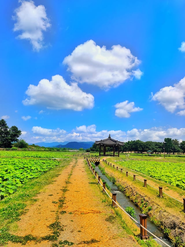 외국인들이-찍은-경주-여행-사진-18-이미지