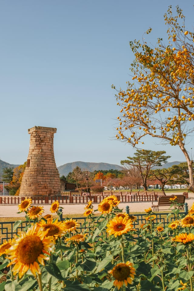 외국인들이-찍은-경주-여행-사진-0-이미지