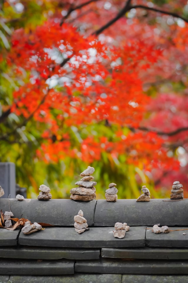 외국인들이-찍은-경주-여행-사진-11-이미지