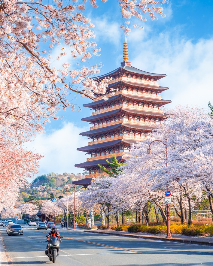 외국인들이-찍은-경주-여행-사진-1-이미지