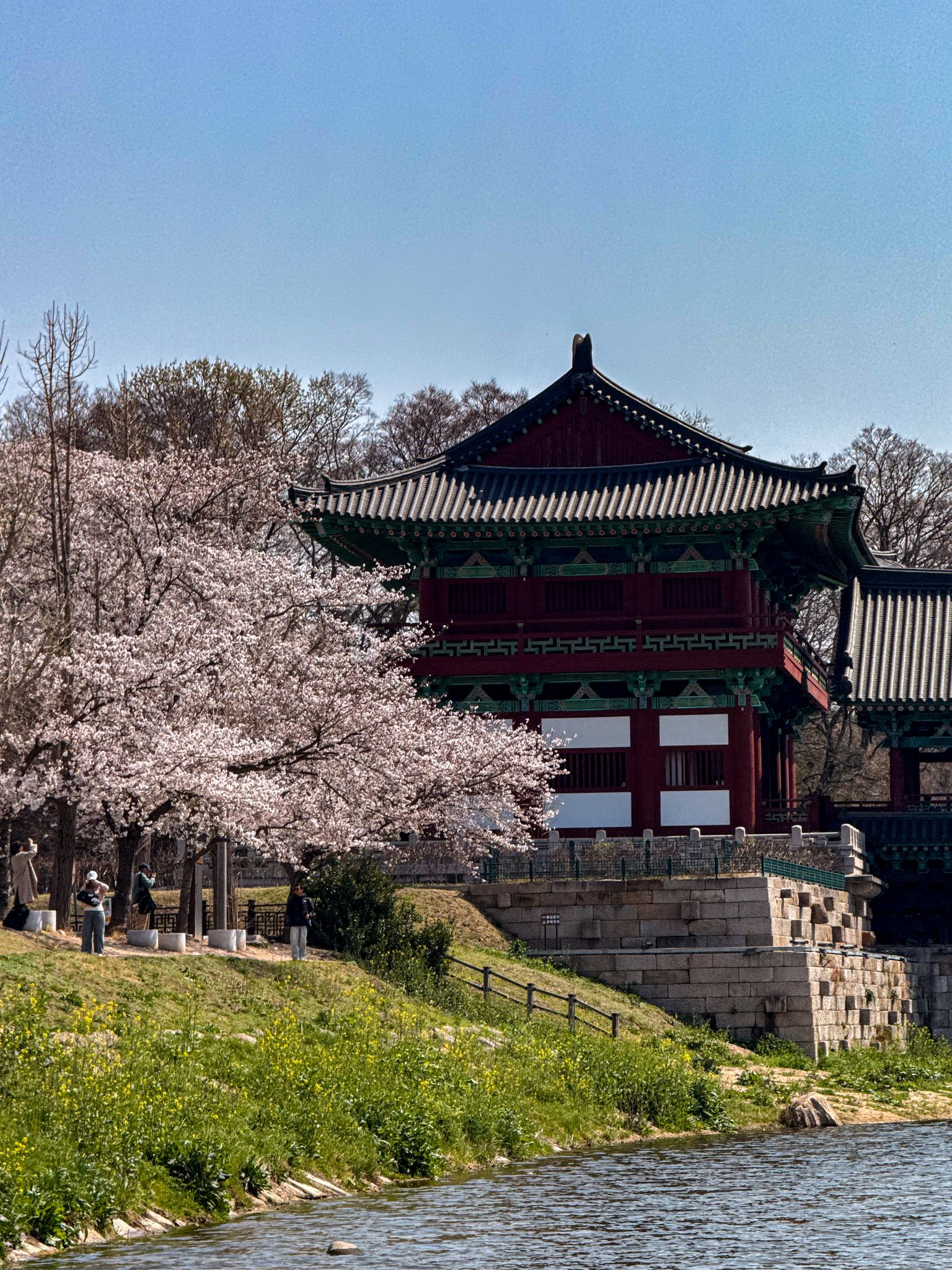 외국인들이-찍은-경주-여행-사진-9-이미지