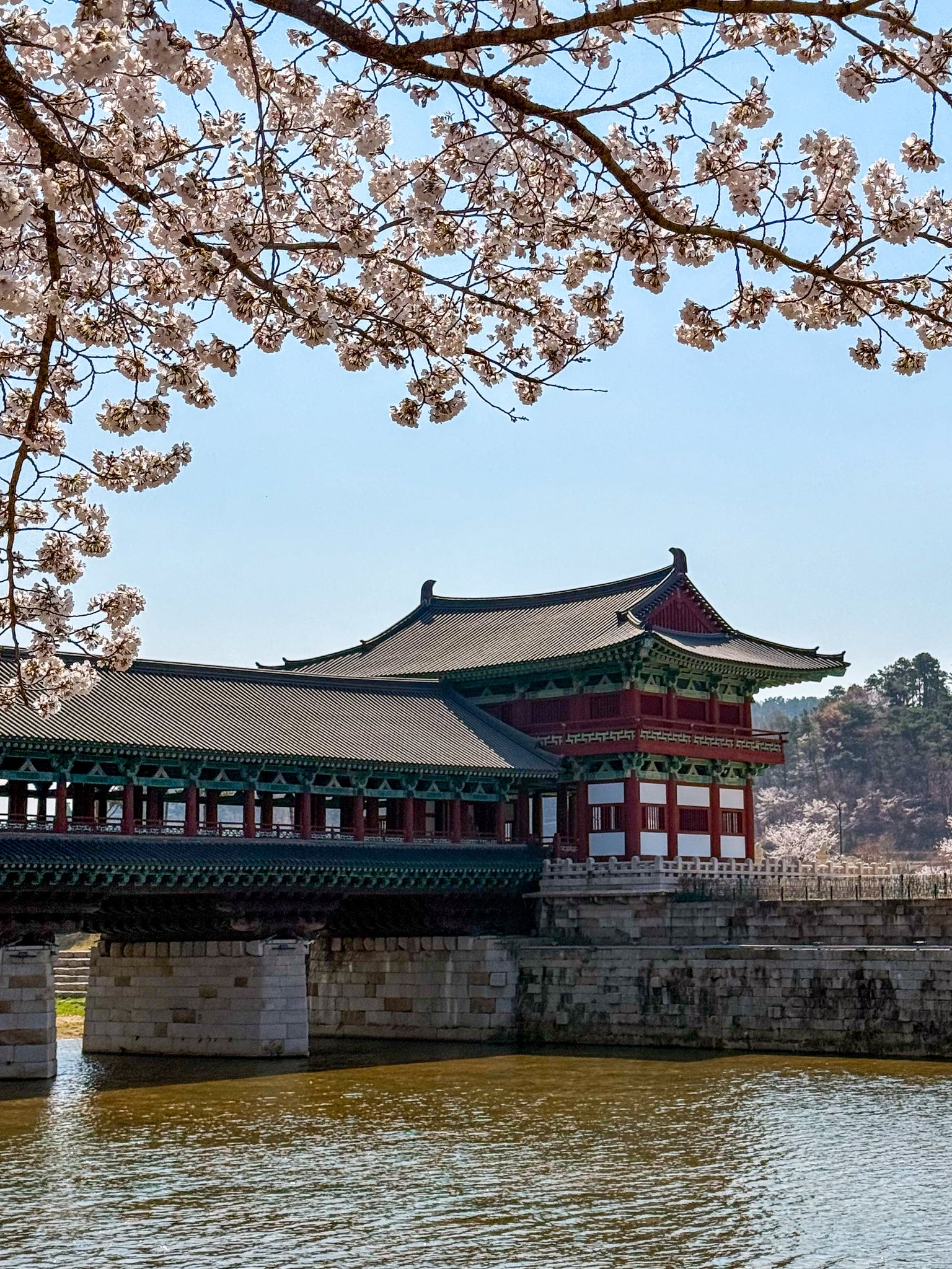 외국인들이-찍은-경주-여행-사진-8-이미지