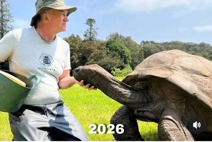 세계-최고령-육지동물-거북이-조나단-193세-사망-2-이미지