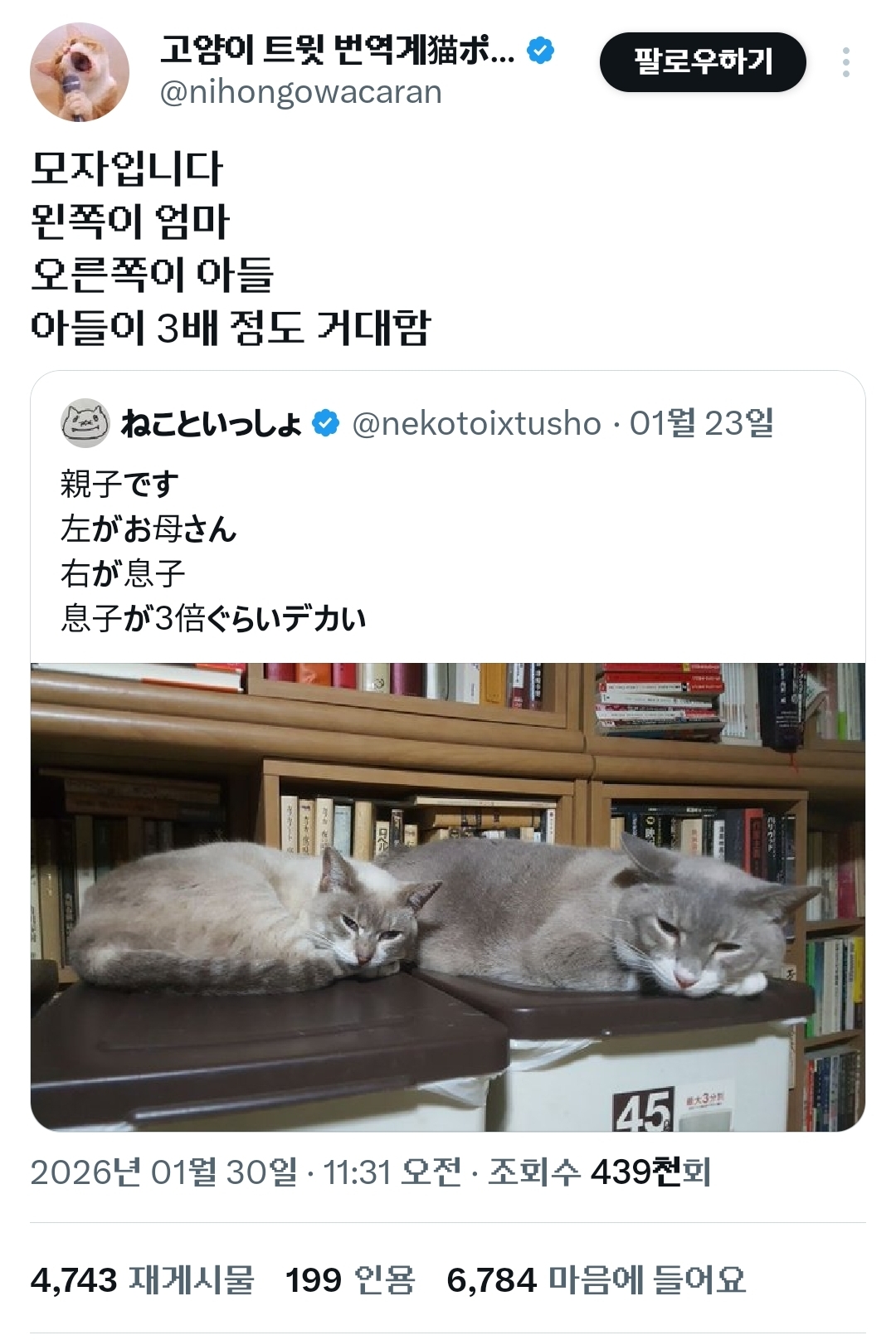 모자입니다-왼쪽이-엄마-오른쪽이-아들.x-0-이미지