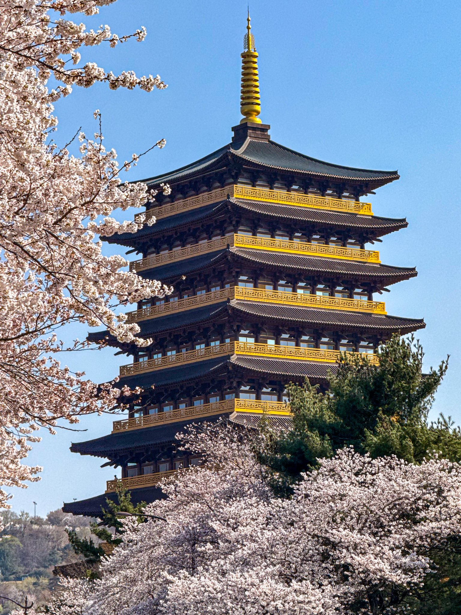 외국인들이-찍은-경주-여행-사진-7-이미지