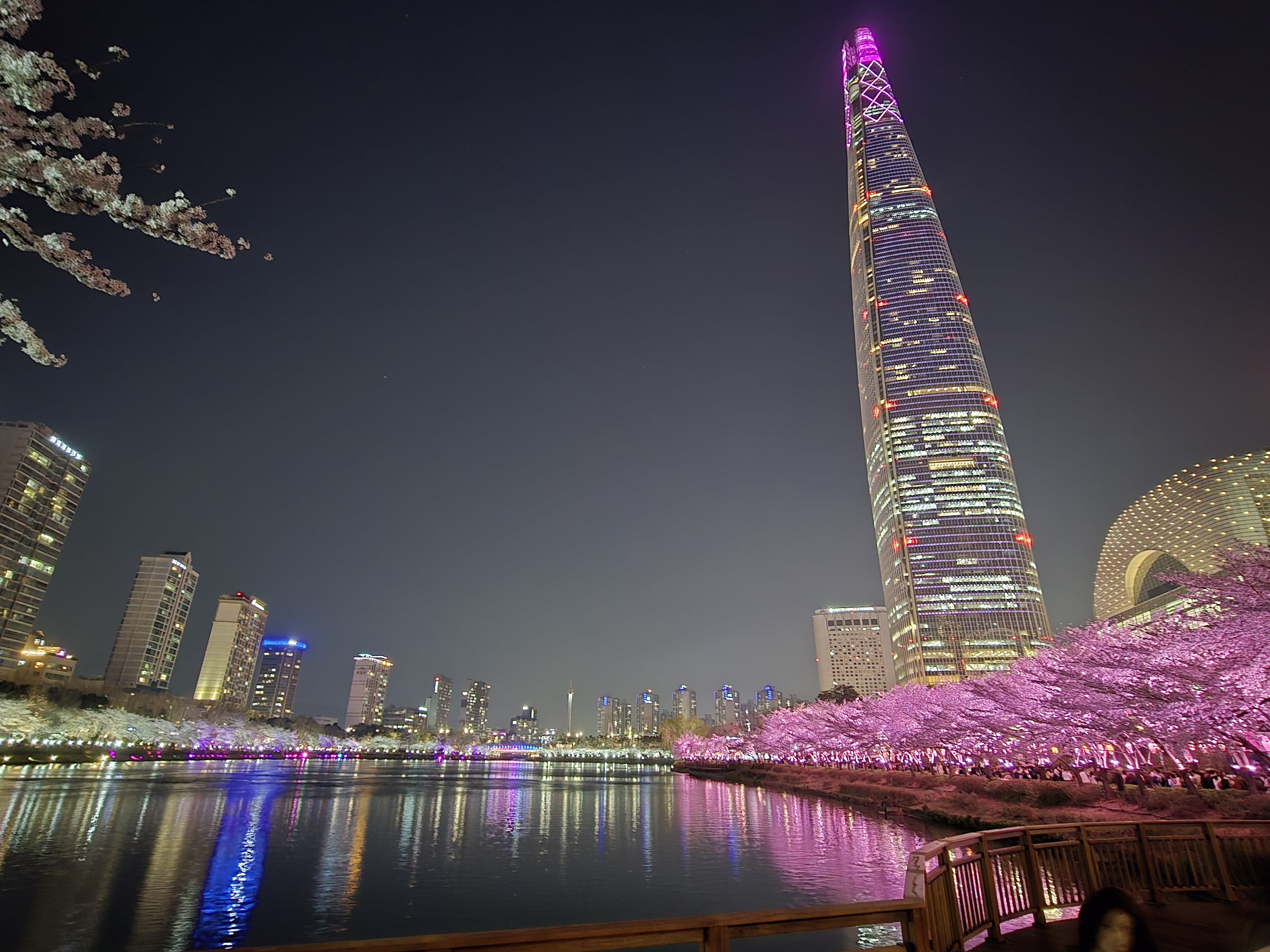 석촌호수-벚꽃-야경(20264.2.)-2-이미지