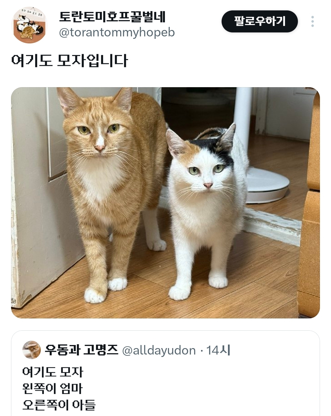 모자입니다-왼쪽이-엄마-오른쪽이-아들.x-2-이미지