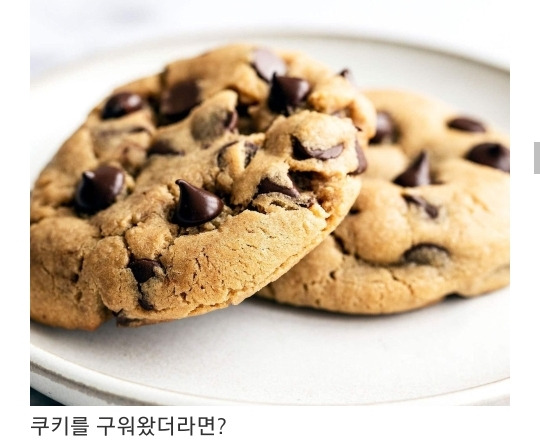 트위터-실트에-피칸파이가-뜬-이유-4-이미지