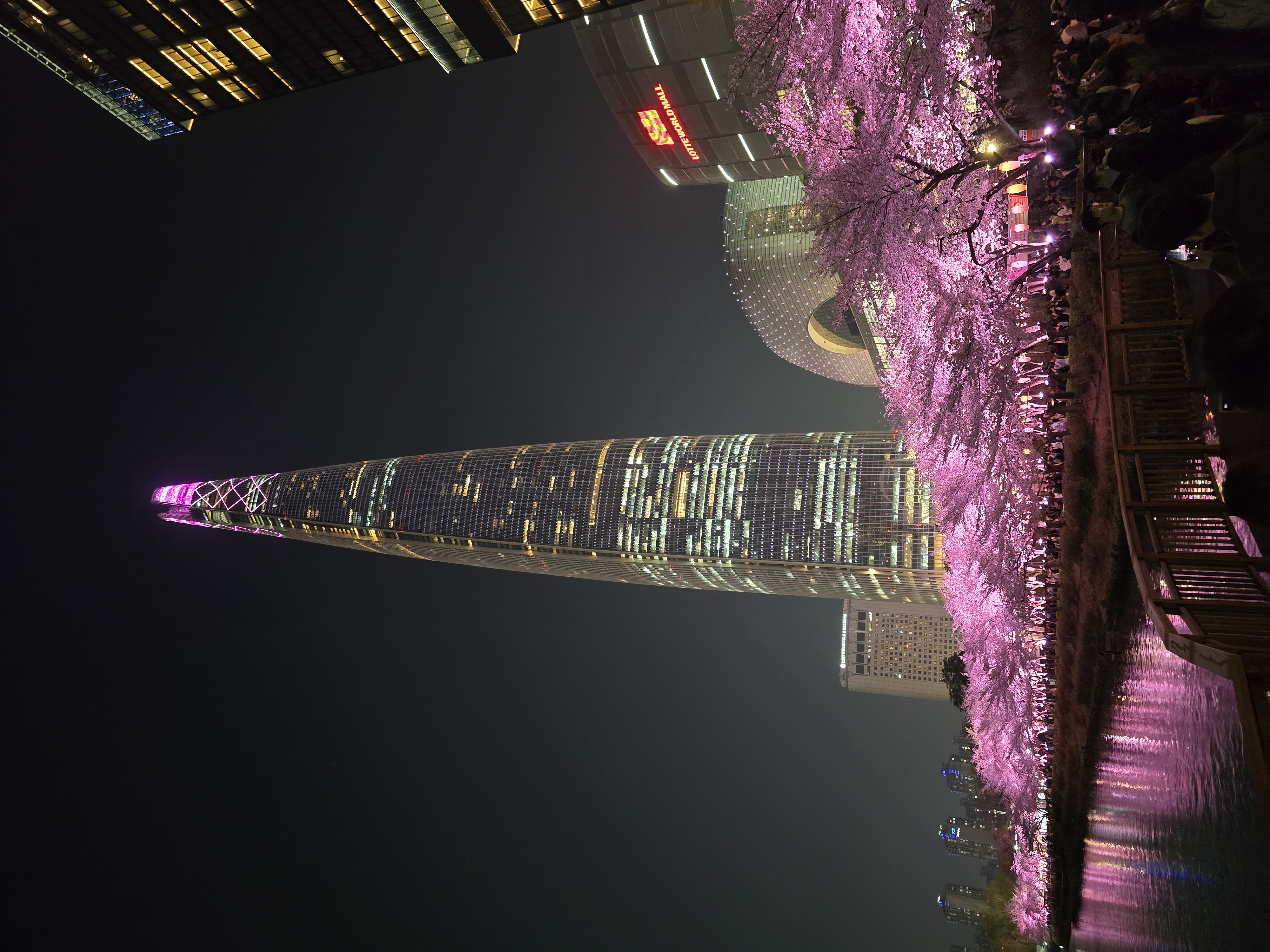 석촌호수-벚꽃-야경(20264.2.)-3-이미지