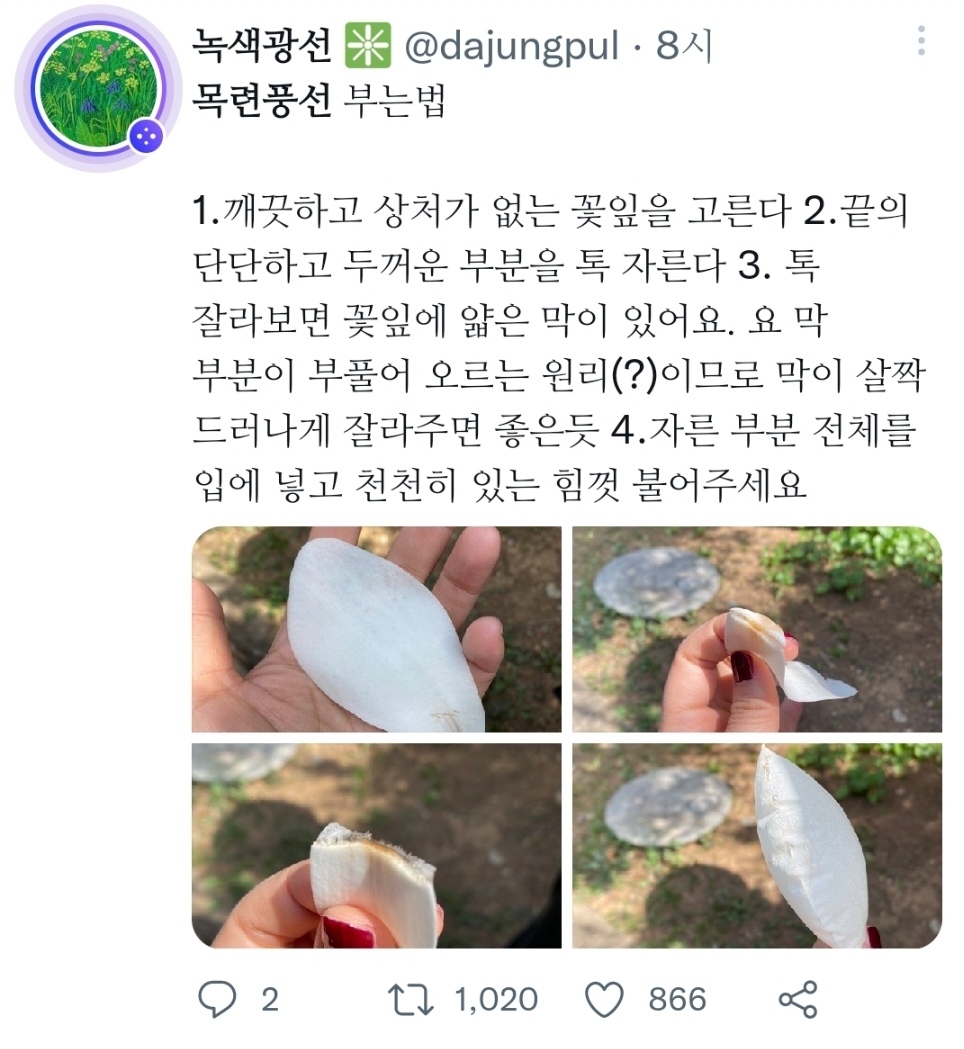 목련풍선-불기-좋은-계절-1-이미지