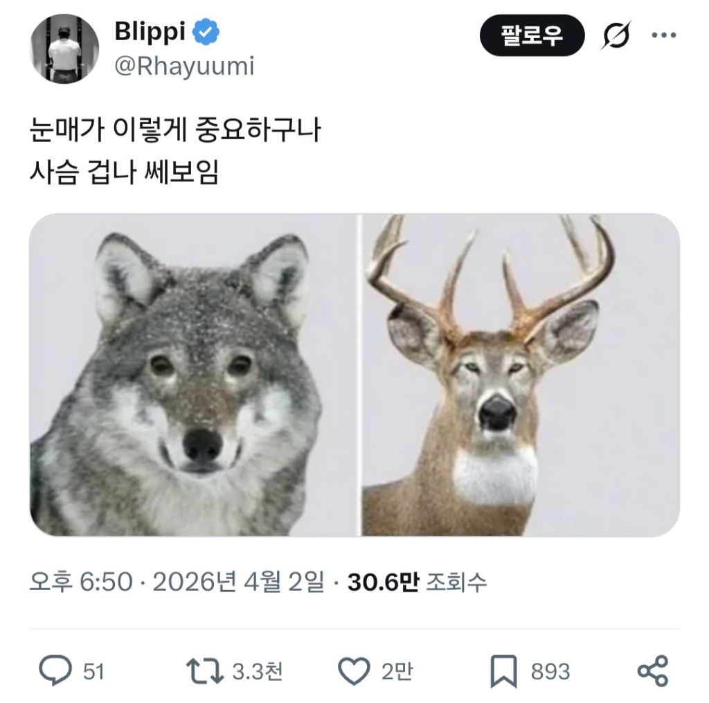 눈매가-이렇게-중요하구나-0-이미지