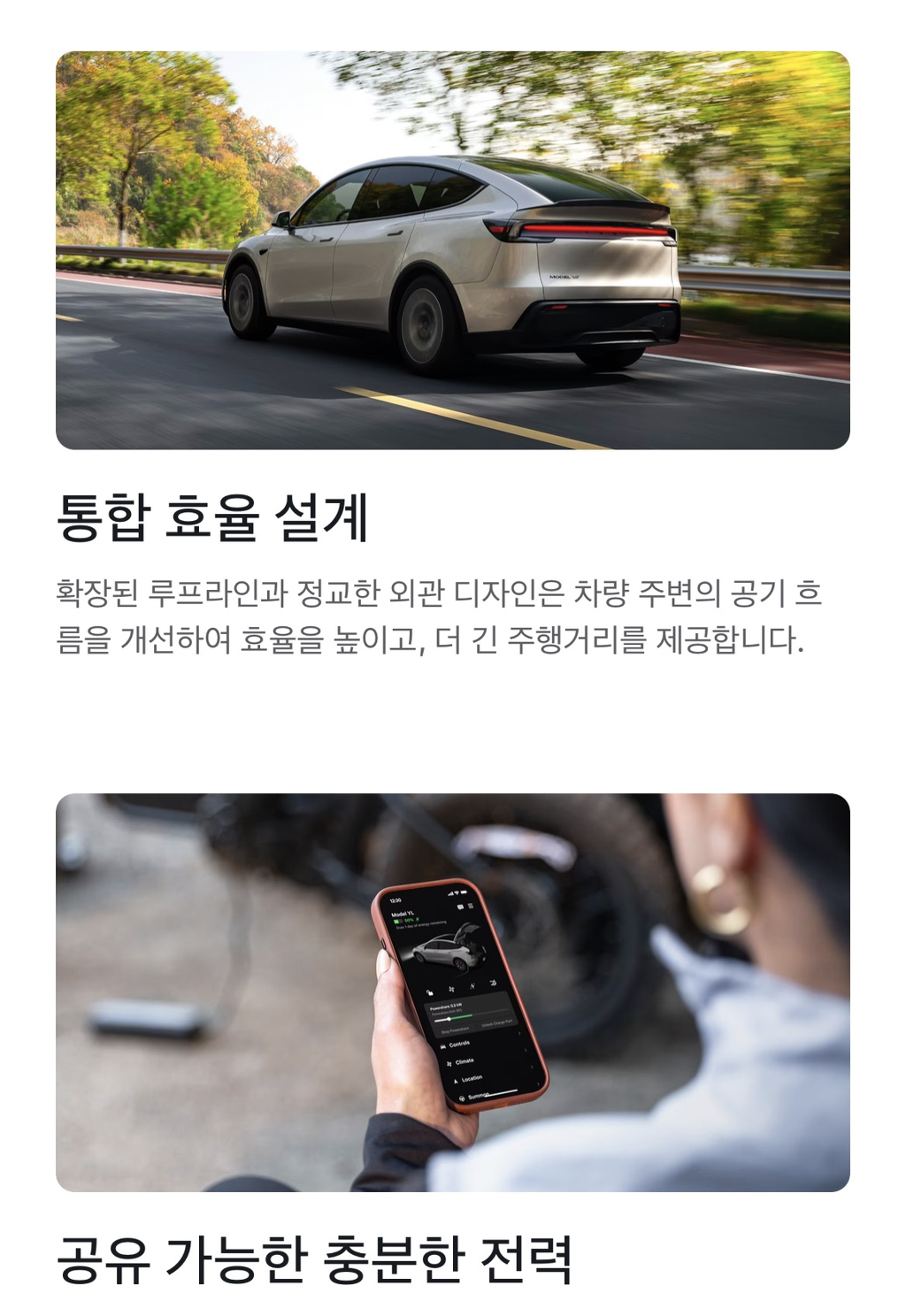 테슬라-모델-Y-L-국내출시-4-이미지