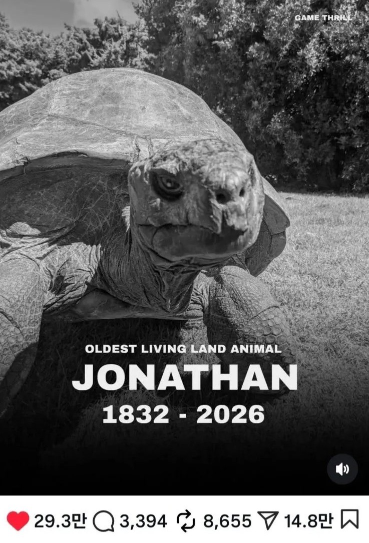 세계-최고령-육지동물-거북이-조나단-193세-사망-3-이미지