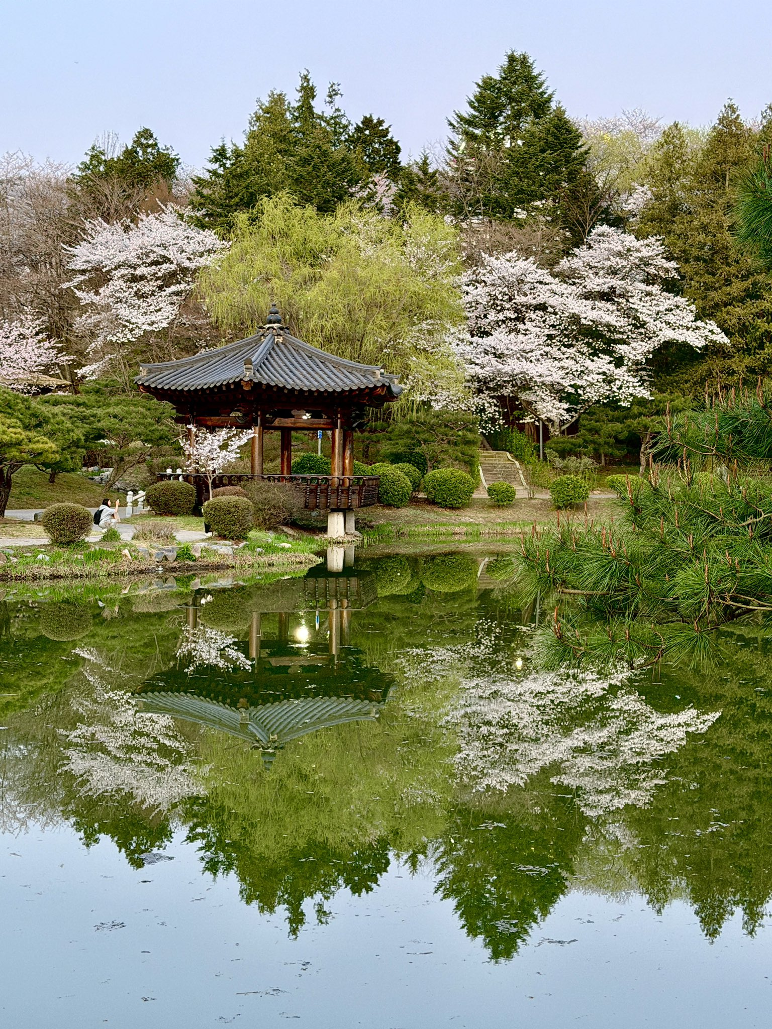 외국인들이-찍은-경주-여행-사진-6-이미지