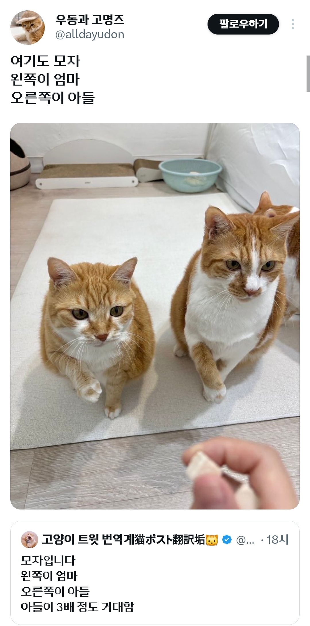 모자입니다-왼쪽이-엄마-오른쪽이-아들.x-1-이미지