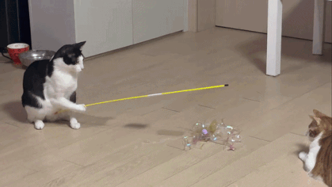 AI-인줄-알았는데-AI-아니라는-영상ㅋㅋㅋㅋ-0-이미지