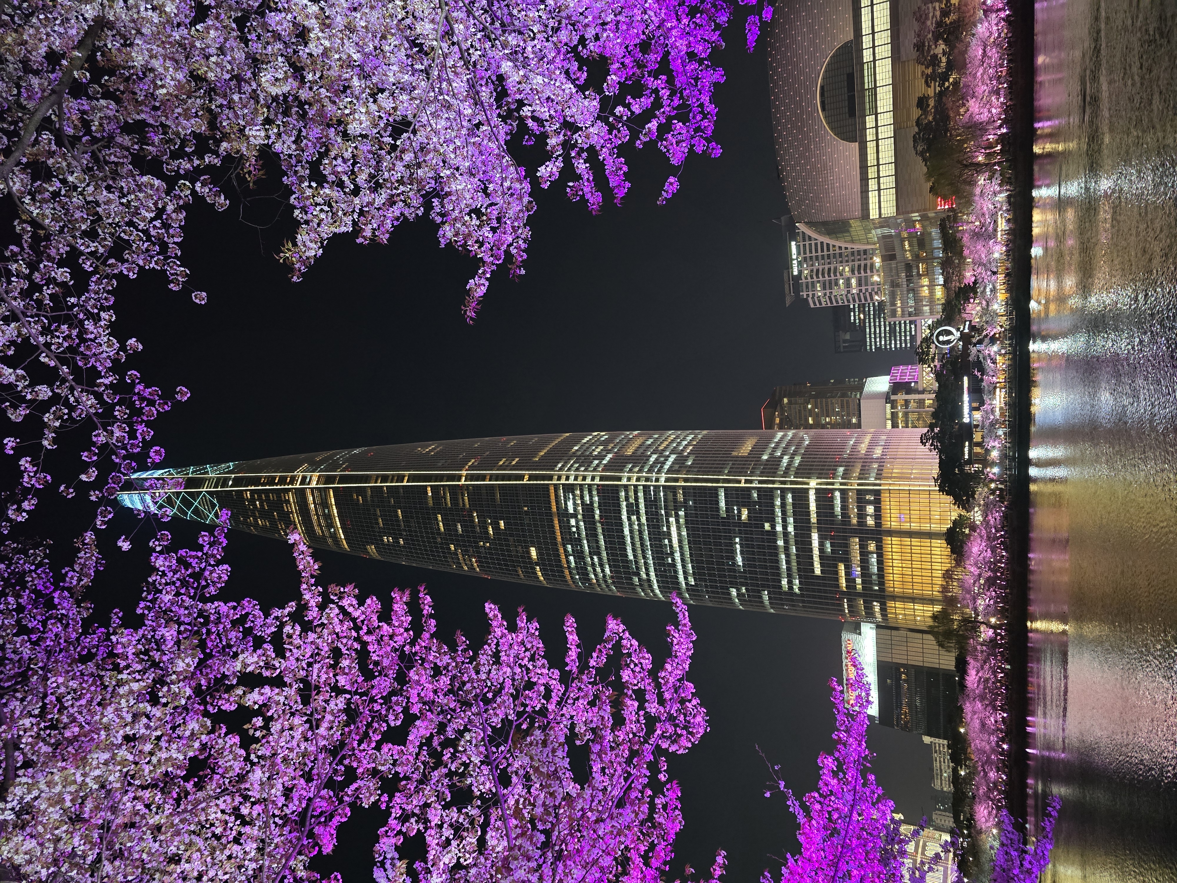 석촌호수-벚꽃-야경(20264.2.)-5-이미지