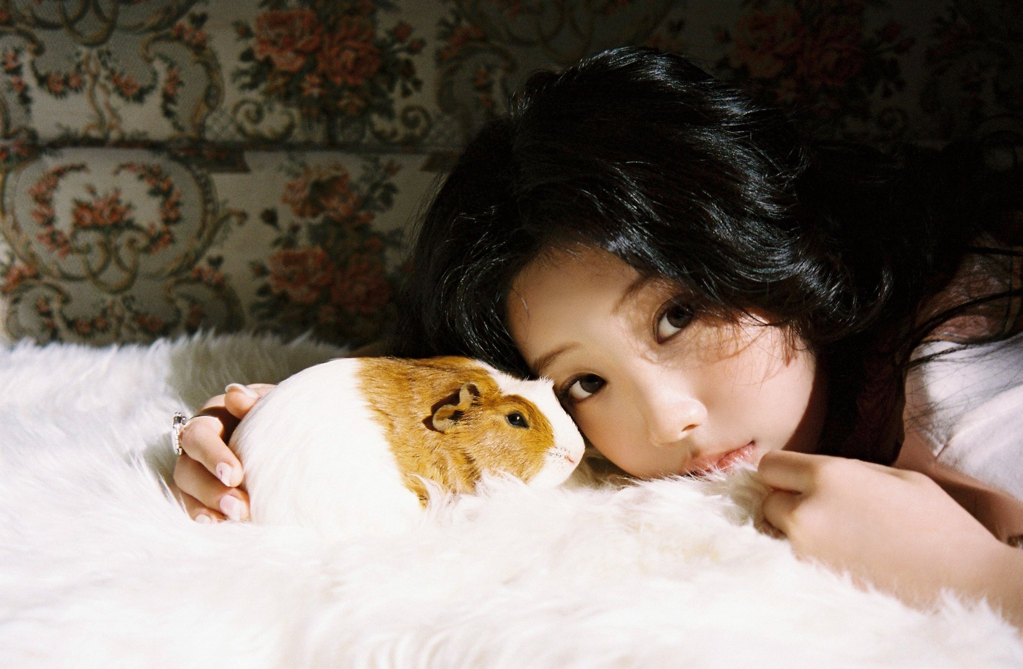 아일릿-원희-x-기니피그.jpgif-3-이미지