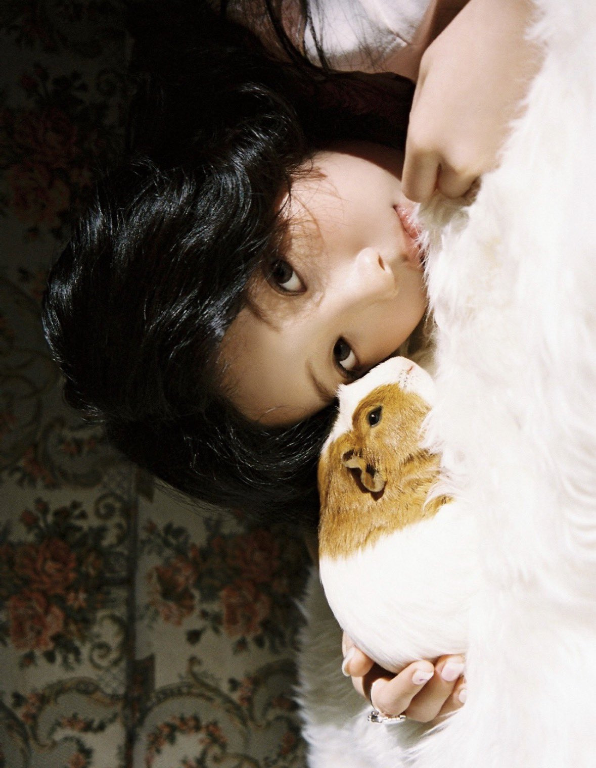 아일릿-원희-x-기니피그.jpgif-10-이미지