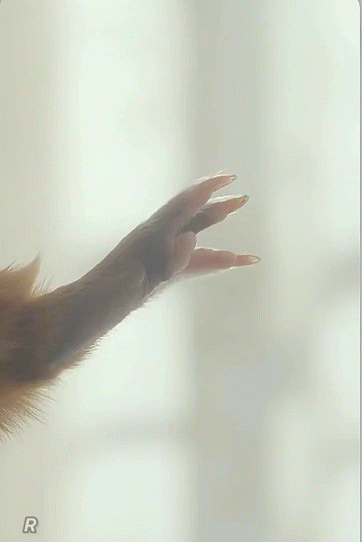 아일릿-원희-x-기니피그.jpgif-1-이미지