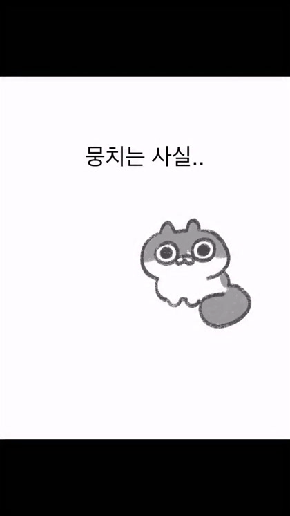 캣타워-못-올라가는-고앵이-0-이미지