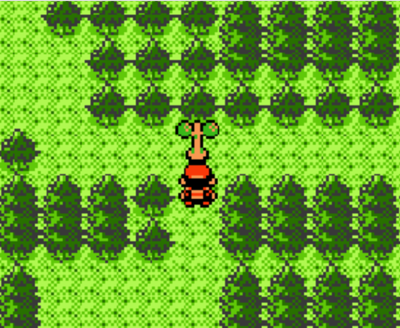 포켓몬-골드버전-당시-앞길을-가로막던-자들.JPG-1-이미지