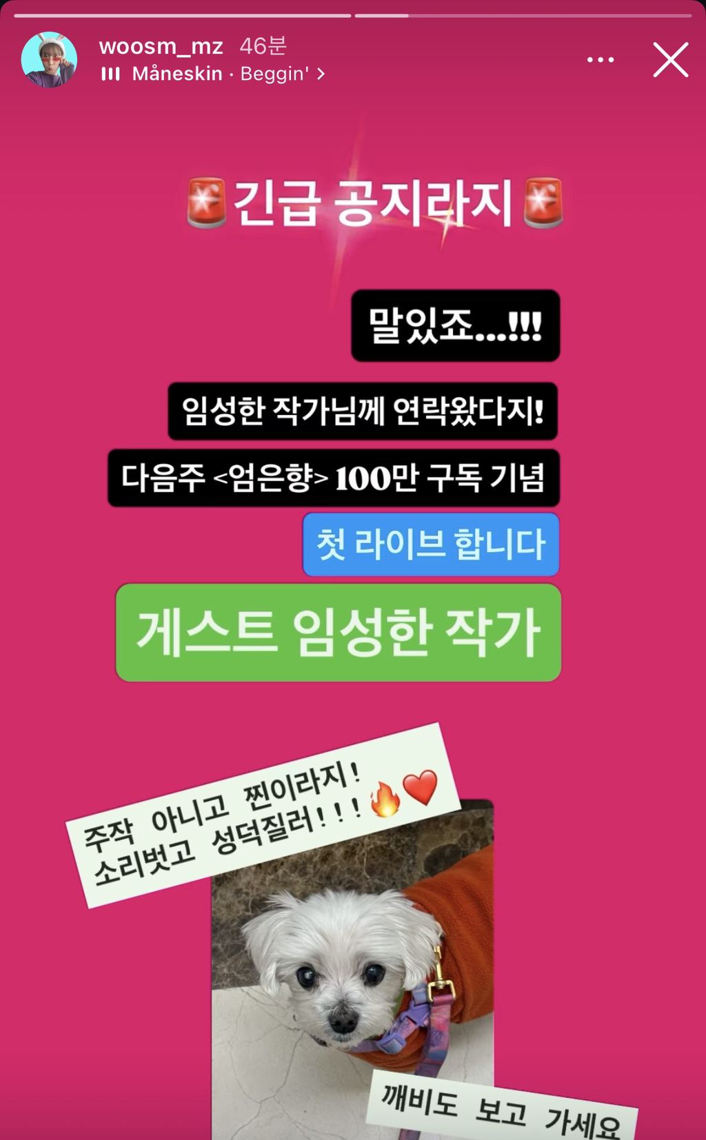 드디어-성덕-된-백만유튜버-엄은향.insta-0-이미지