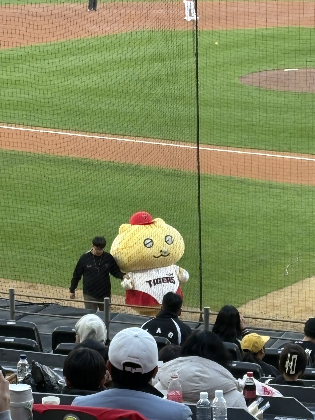 오늘-기아타이거즈-시구하는-콩물이-보러온-엄마와-할머니-0-이미지