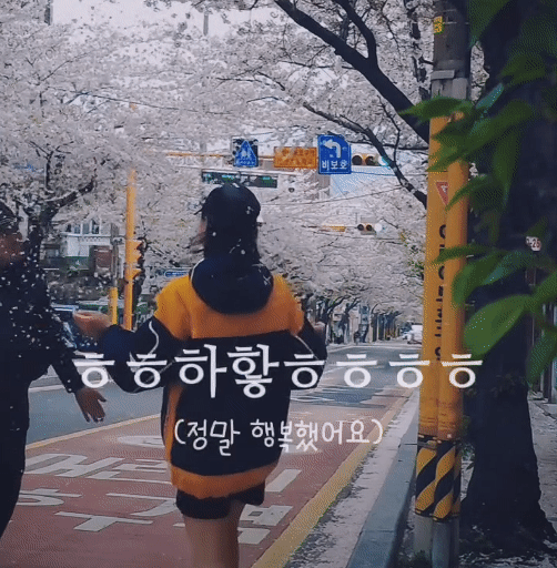 혼자-벚꽃놀이-주의하세요-3-이미지