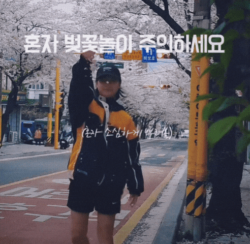 혼자-벚꽃놀이-주의하세요-1-이미지