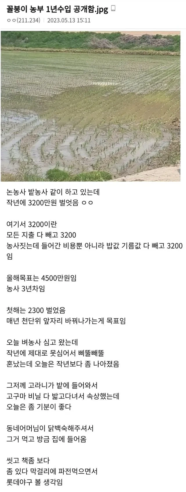 농사로-연-3200-번다는-디씨인-0-이미지